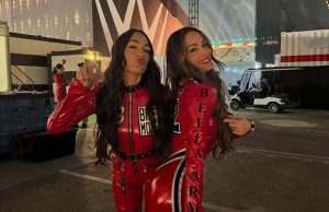 The Bella Twins