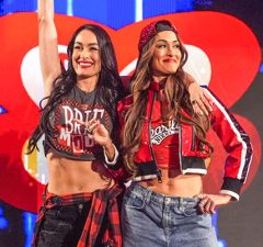The Bella Twins