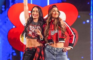 The Bella Twins