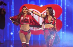 The Bella Twins