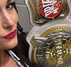Brie Bella