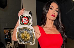 Brie Bella