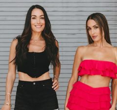 Brie Bella and Nikki Bella