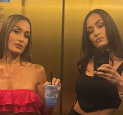 Nikki Bella and Brie Bella