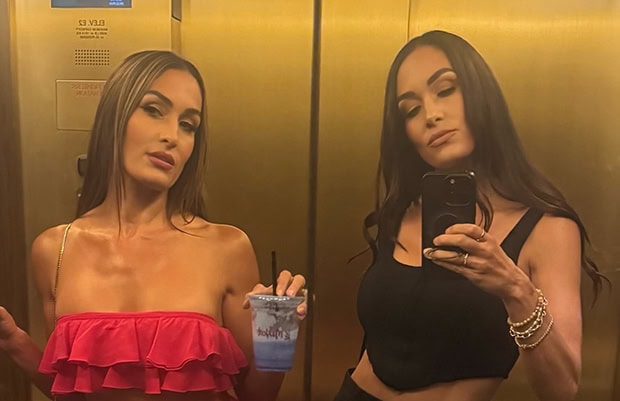 Nikki Bella and Brie Bella