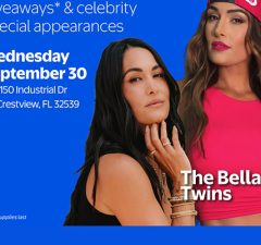 Brie Bella and Nikki Bella