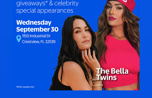 Brie Bella and Nikki Bella