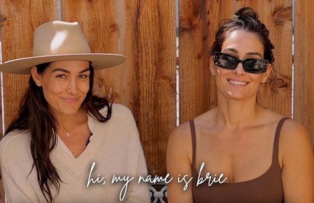 Brie Garcia and Nikki Bella