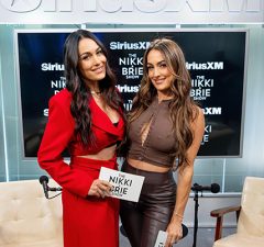 Nikki and Brie Bella